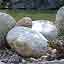 Blocs de granite sur le rivage