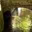 Reflets sous le pont
