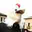 Un danseur avec un masque de coq