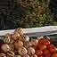 Cusco - Le march central -  tal de fruits en juin