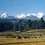 la campagne autour de Huaraz est trs cultive et les terres sont riches. Il y a aussi de l'levage.