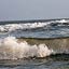 Rserve de Paracas sur le littoral Pacifique