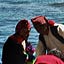 Ile de Taquile - le port est minuscule; les hommes sont en costume traditionnel comme les femmes. Ici les notables du villages partent pour Puno